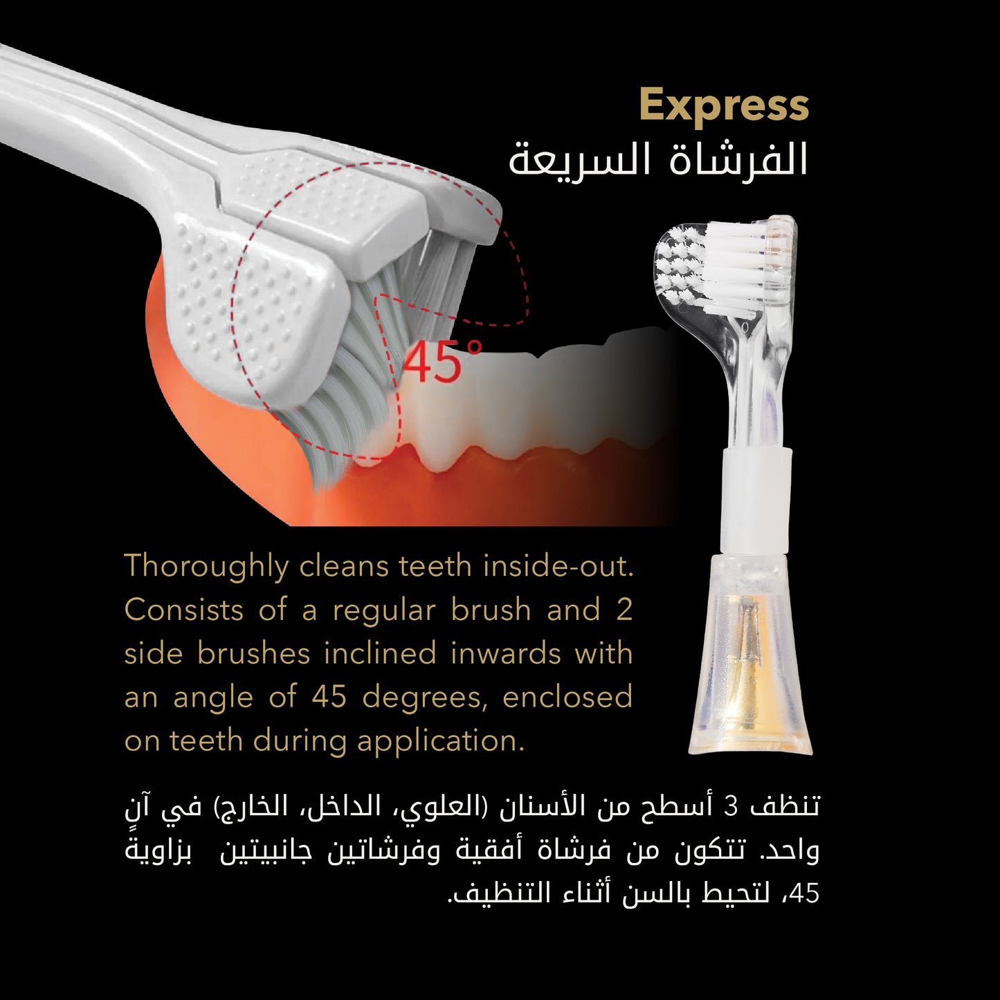 Express Ultrasonic Toothbrush