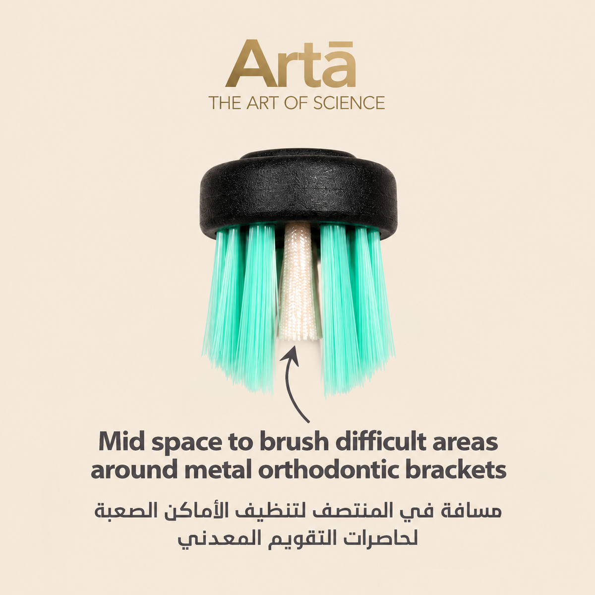 
Close-up of arta orthodontic toothbrush head with turquoise bristles and a central cleaning space designed to reach difficult areas around metal braces and brackets.

صورة مقربة لرأس فرشاة آرتا للتقويم بشعيرات فيروزية ومسافة في المنتصف، مصممة لتنظيف المناطق الصعبة حول حاصرات وأسلاك التقويم المعدني.