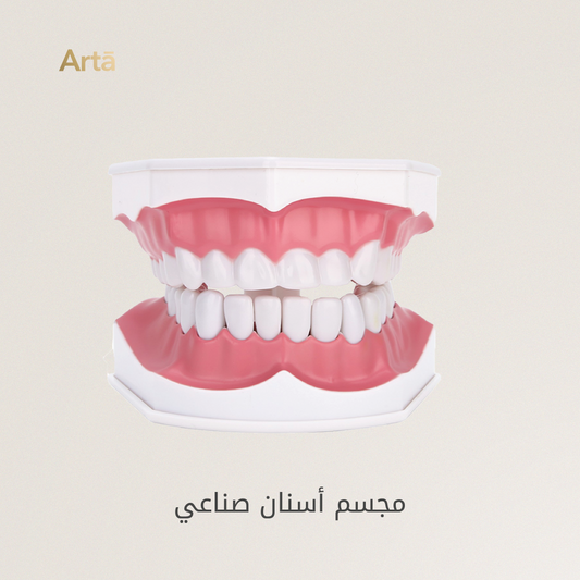 Artificial dentures model with 'Arta' branding on a beige background