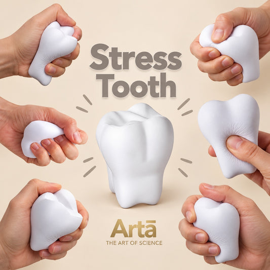 Stress Tooth – Squeeze the Stress Away!